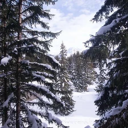 1850 Courchevel